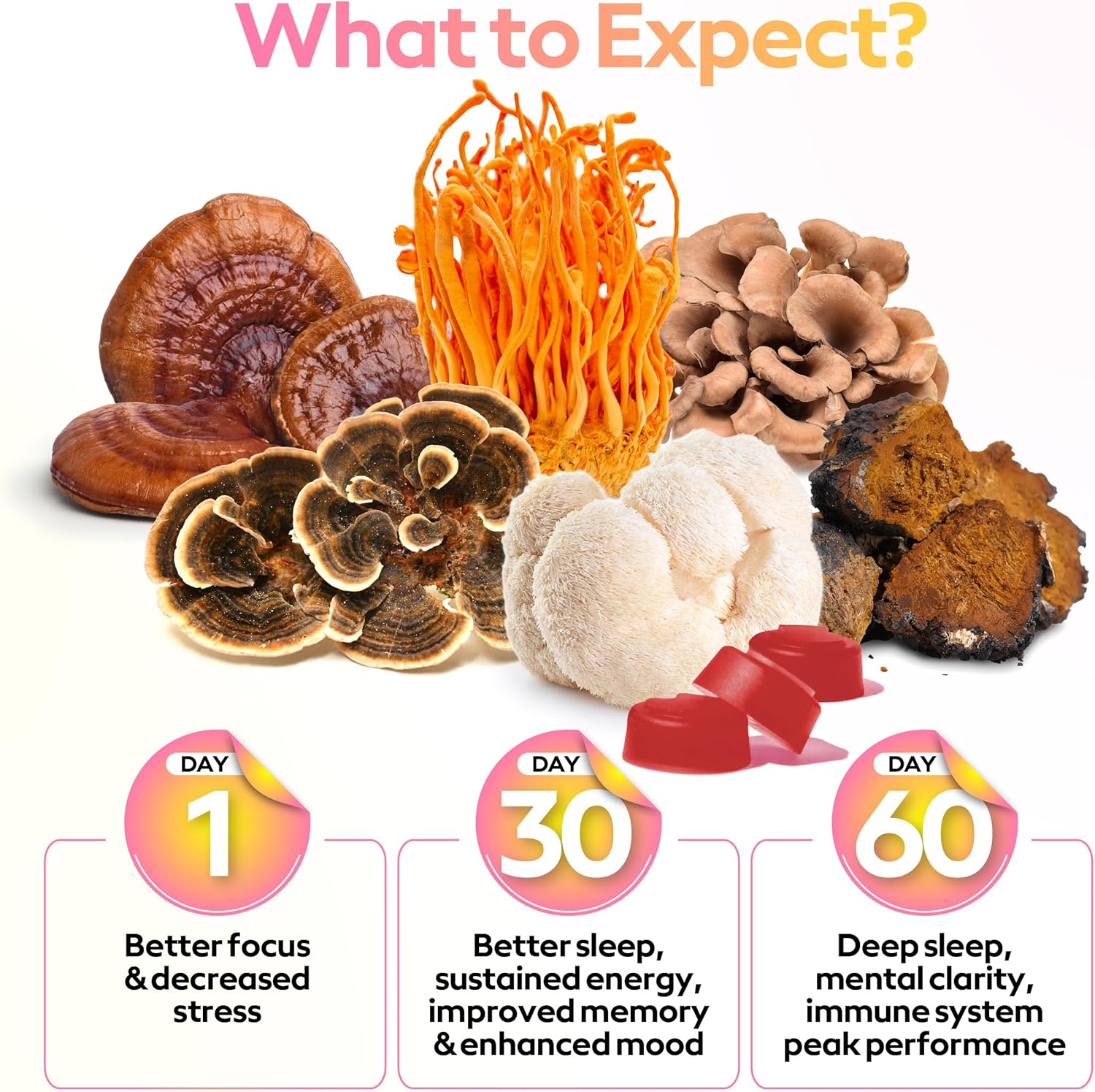 Super Troop - 6 Mushroom Blend Energy/ Immunity Gummies