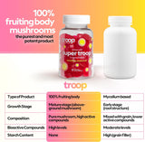 Super Troop - 6 Mushroom Blend Energy/ Immunity Gummies