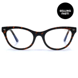 Stephanie - Tortoise