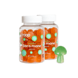 Lion's Mane 2 Bottle Bundle