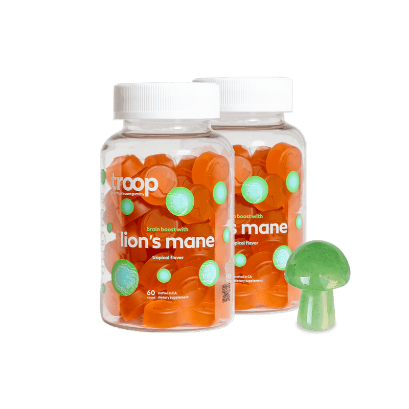 Lion's Mane 2 Bottle Bundle