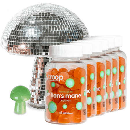 Lion's Mane 6 Bottle Bundle