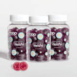 Reishi 3 Month Bundle