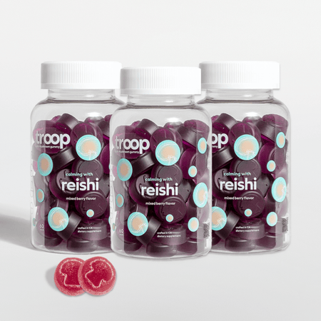 Reishi 3 Month Bundle