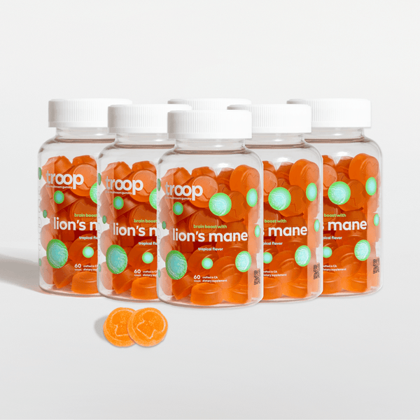 Lions Mane 6 Month Bundle