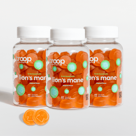 Lions Mane 3 Month Bundle
