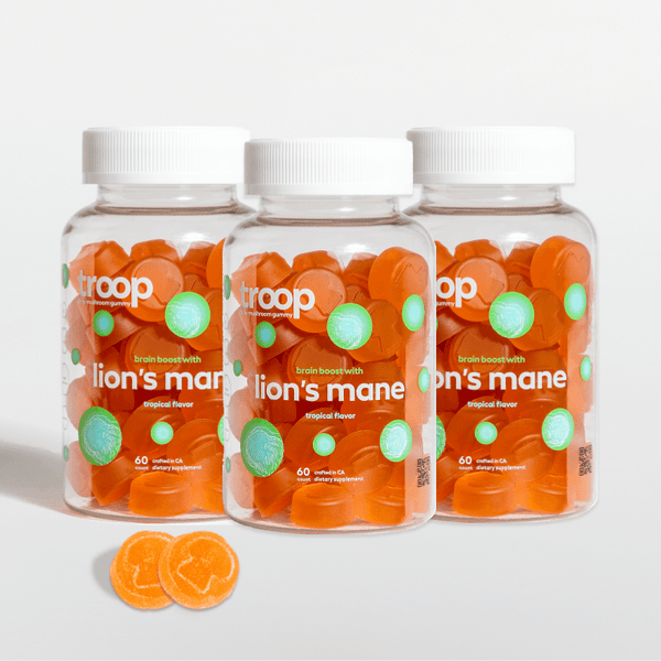 Lions Mane 3 Month Bundle