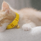 Anypet Large Yellow Cat Collar with Safety Buckle, Bell & Durable Adjustable Strap – Stylish Comfortable Pet Collar for Cats