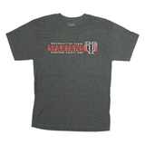 CHAMPION University Of Tampa Mens T-Shirt Grey USA M