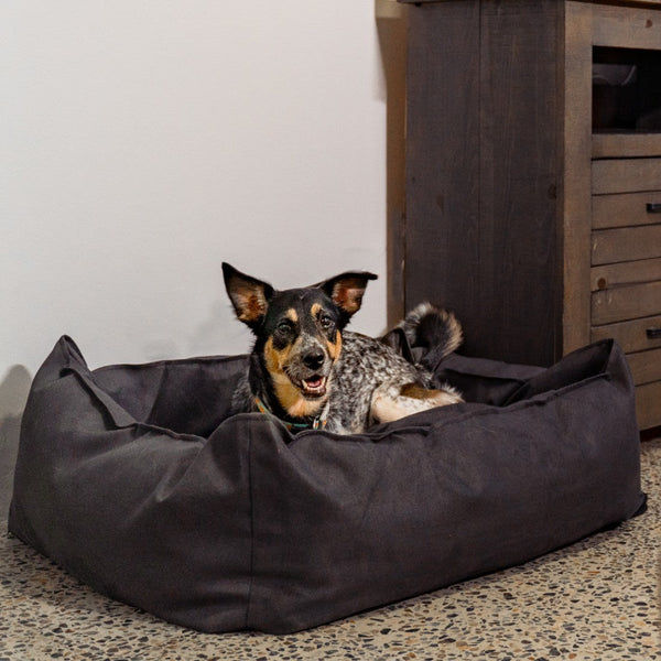 Oasis Plush Pillow Dog Bed