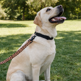Anypet Brown Leopard Dog Leash - Stylish Comfortable Dog Accessorys