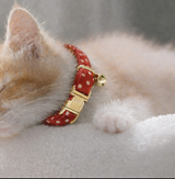 Anypet Stylish Dotted Red Cat Collar – Large Size with Safety Buckle, Bell & Durable Strap