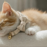 Anypet Small Beige Bow Cat Collar with Safety Buckle, Bell & Durable Adjustable Strap – Stylish Comfortable Pet Accessory for Cats