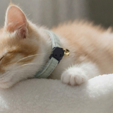 Anypet Small Mint Green Cat Collar with Safety Buckle, Bell & Durable Adjustable Strap – Stylish Comfortable Pet Accessory for Cats