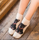 Anyfootwear 5 Pairs One Size 5-9 Multicolor Cat Spring Summer Fashion Women Cotton Sox Cartoon Cute Girl Happy Funny Socks