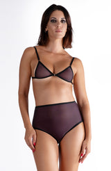 Lustrous Sheer Micro Triangle Bra