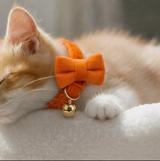Anypet Stylish Orange Cat Collar –Large Size with Safety Buckle, Bell & Durable Strap