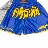 Mens Sports Shorts Blue M W22