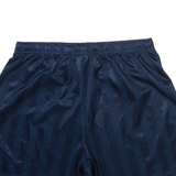 NIKE Mens Casual Shorts Blue Relaxed Striped L W30