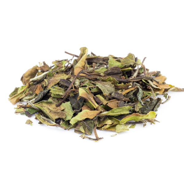 White Tea Bundle