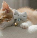 Anypet Large Sky Blue Bow Cat Collar with Safety Buckle, Bell & Durable Adjustable Strap – Stylish Comfortable Pet Accessory for Cats