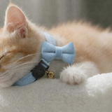 Anypet Large Sky Blue Bow Cat Collar with Safety Buckle, Bell & Durable Adjustable Strap – Stylish Comfortable Pet Accessory for Cats