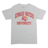 CHAMPION Mens Grey Edward Waters University Graphic T-Shirt S Short Sleeve Crew