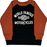 Age 6-7 Harley Davidson Long Sleeve T-Shirt - XS Brown Cotton