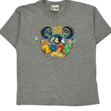 Age 12-13 Walt Disney World Disney T-Shirt - Large Grey Cotton