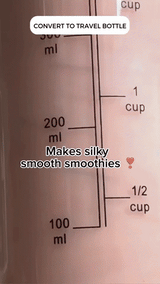 Pro+ Ice-Crushing Power Blender (120W)