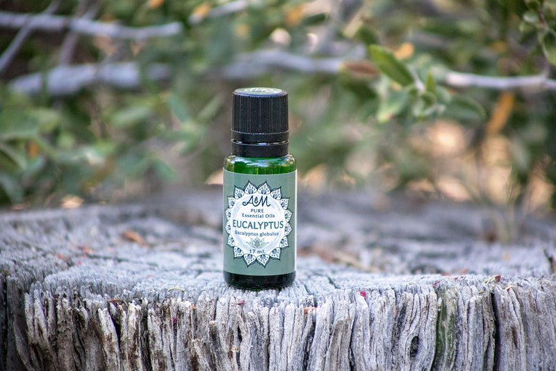 Eucalyptus Pure Essential Oil - 17mL & 60mL sizes | Fair Trade + Ethically Sourced