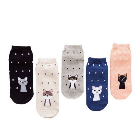 Anyfootwear 5 Pairs One Size 5-9 Kitty Cartoon Socks Spring Summer Fashion Cotton Cute Happy Funny Casual Socks For Women