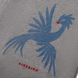 Kids hoodies. 100% organic Peruvian cotton. Super soft and comfortable. Firebird graphic hoodie for cool kids. Unisex.