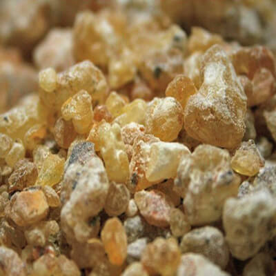 Sacred Frankincense Pure Essential Oil - 17mL & 60mL sizes | Fair Trade + Ethically Sourced