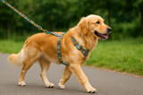 Anypet Heavy Duty Dog Leash – Green Plaid Spiral Metal Harness Lead for Training & Walking