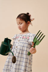 Carlina girl dress - Blue River Checks