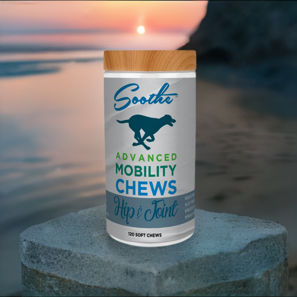 Soothe Advanced Mobility Chews for Senior Dogs