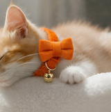 Anypet Large Orange Cat Collar with Safety Buckle, Bell & Durable Adjustable Strap – Stylish Comfortable Pet Accessory for Cats