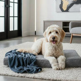 Deluxe Buddy Bed – Advanced Orthopedic Memory Foam Dog Bed for Joint Support