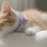 Anypet Small Light Purple Cat Collar with Safety Buckle, Bell & Durable Adjustable Strap – Stylish Comfortable Pet Accessory for Cats