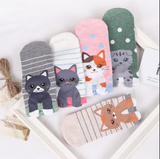 Anyfootwear 5 Pairs One Size 5-9 Rainbow Color Kitten Cartoon Socks Spring Summer Fashion Cotton Cute Happy Funny Casual Socks For Women
