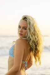 Juliet in Blueberry Pie Top