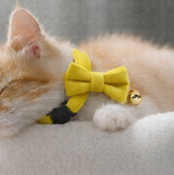 Anypet Stylish Mustard Yellow Bow Cat Collar – Small Size with Safety Buckle, Bell & Durable Strap