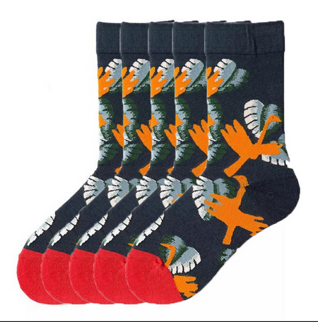 Anyfootwear 5 Pairs Size 5-9 Unisex Long Socks Cartoon Yellow Bird Print Design Warm Winter Socks Comfortable Casual Foot Accessories