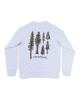 Nature Study Conifers Unisex Crewneck Sweatshirt | Ash