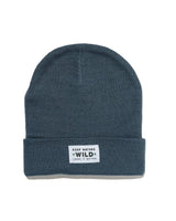 Twin Pines Cuffed Beanie | Slate