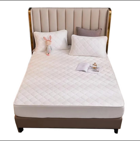 Anycozy Mattress Cover Offwhite Double Size Crystal Velvet Thicken Quilted Warm Soft Plush Bed Sheet