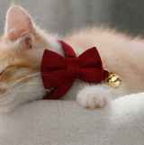 Anypet Large Cherry Red Bow Cat Collar with Safety Buckle, Bell & Durable Adjustable Strap – Stylish Comfortable Pet Accessory for Cats