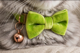 Anypet Large Beige Bow Cat Collar with Safety Buckle, Bell & Durable Adjustable Strap – Stylish Comfortable Pet Accessory for Cats