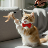Anypet Stylish Red Bow Cat Collar – Small Size with Safety Buckle, Bell & Durable Strap